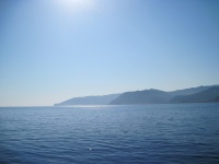 IMG_3275.jpg