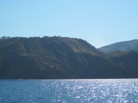 IMG_3280.jpg