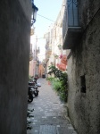 IMG_3289.jpg