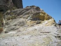 IMG_3297.jpg