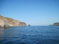 IMG_3299.jpg