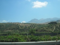 IMG_3324.jpg