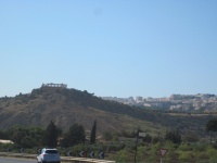 IMG_3337.jpg