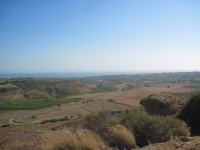 IMG_3357.jpg