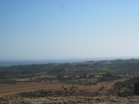 IMG_3372.jpg