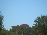 IMG_3442.jpg