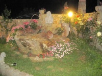 IMG_3512.jpg