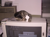 106_0666_IMG.jpg
