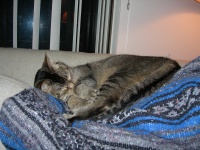 DSCN0771.JPG
