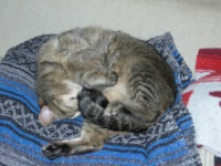 DSCN2349.JPG