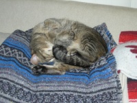 DSCN2350.JPG