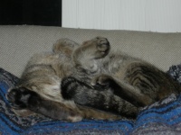 DSCN2352.JPG