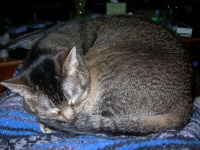 DSCN2942.jpg